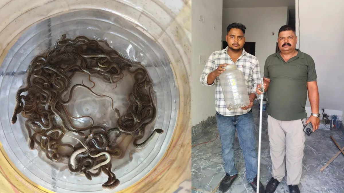 uttarakhand haridwar water tank snakes- India TV Hindi