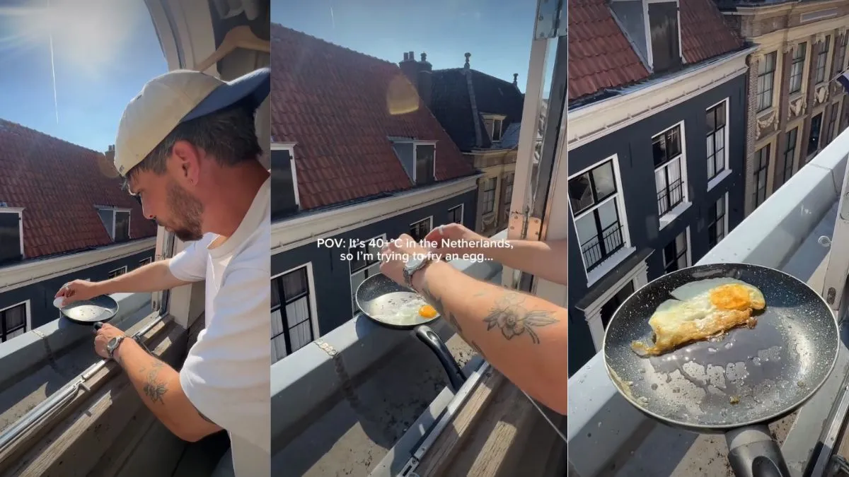 man cooking egg outdoors video, Netherlands scorching in summer video, viral video- India TV Hindi