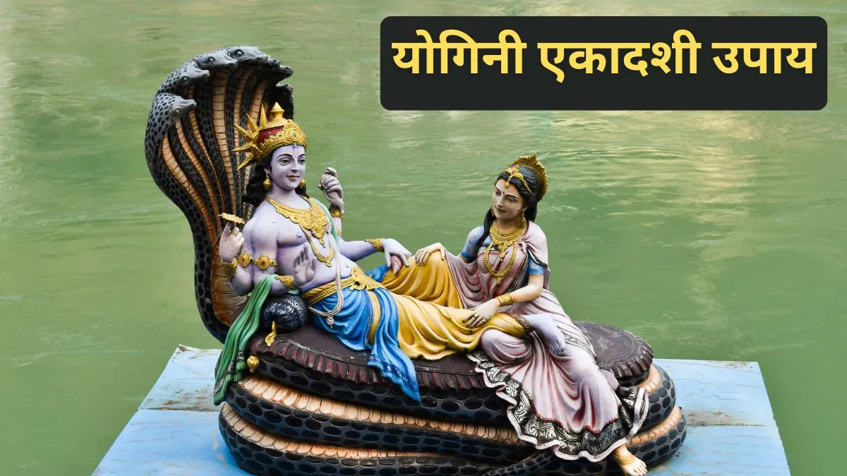योगिनी एकादशी उपाय- India TV Hindi
