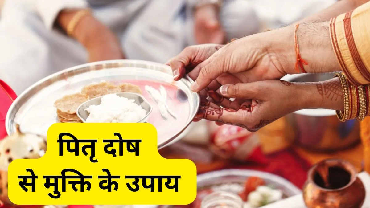 Pitru Dosh Se Mukti Ke Upay- India TV Hindi