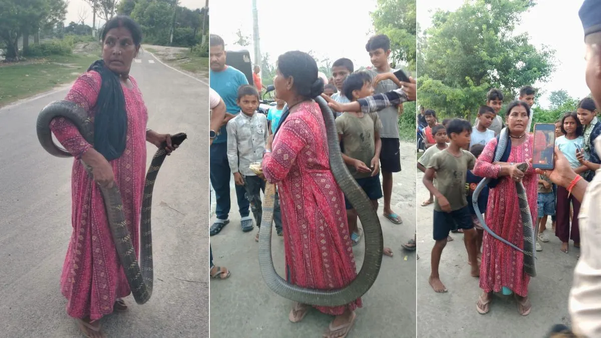 बगहा में किंग कोबरा रेस्क्यू के दौरान महिला को सांप ने डसा, नेपाल के मिलिट्री कैंप में चल रहा इलाज- India TV Hindi