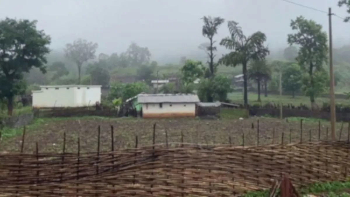 Bastar Naxal violence, Chhattisgarh rehabilitation, Bastar displaced families- India TV Hindi