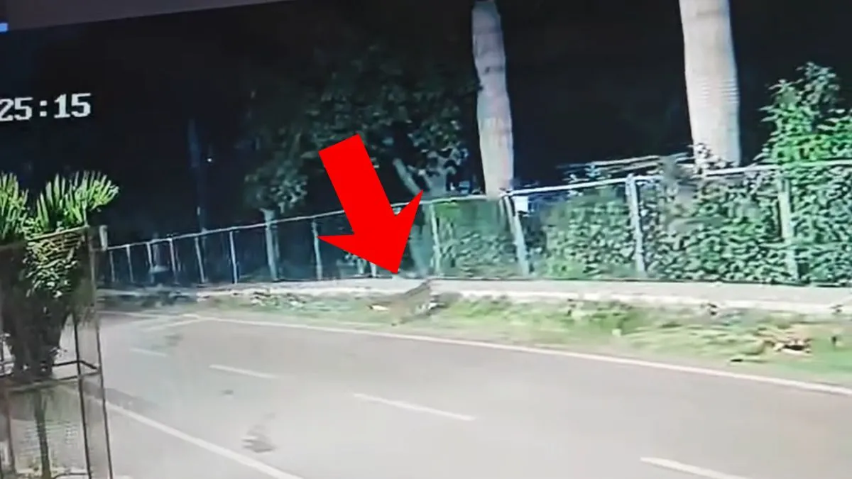 Bengaluru leopard sighting- India TV Hindi
