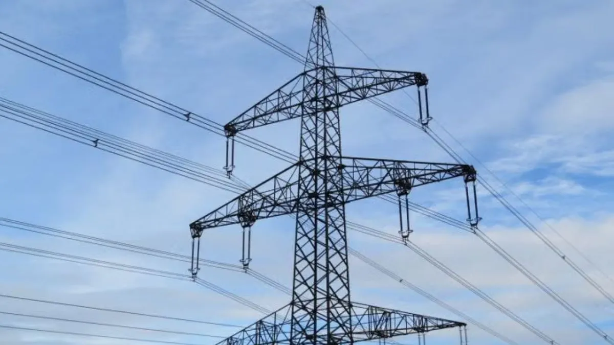 CAG audit of power distribution companies- India TV Hindi