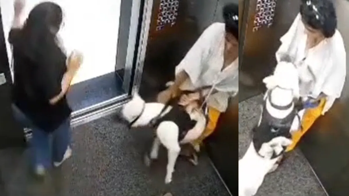 Dog Attack- India TV Hindi
