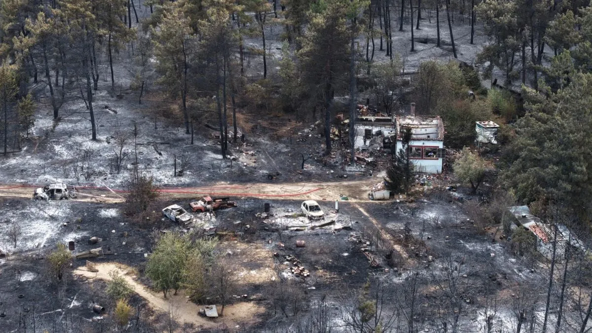 Greece Wildfire, Greece Forest Fire, Thessaloniki Wildfire- India TV Hindi