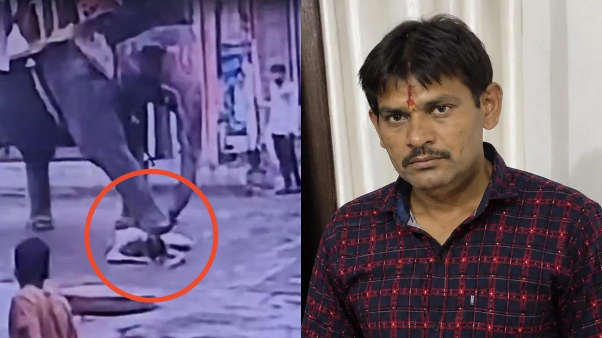 eLEPHANT aTTACK- India TV Hindi