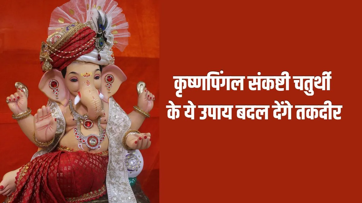 Krishnapingal Sankashti Chaturthi- India TV Hindi