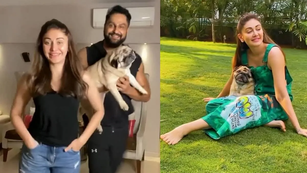 शेफाली जरीवाला के निधन के 13 महीने बाद पराग त्यागी पर फिर टूटा दुखों का पहाड़, अब पेट डॉग सिम्बा की हुई मौत