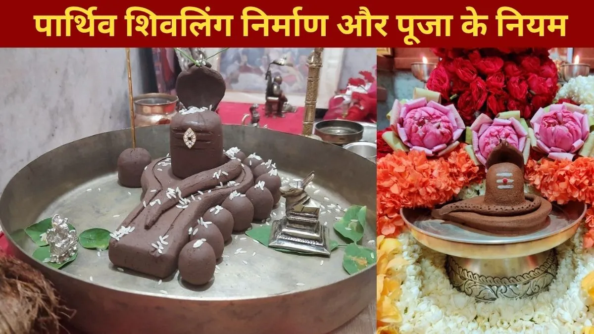 parthiv shivling- India TV Hindi