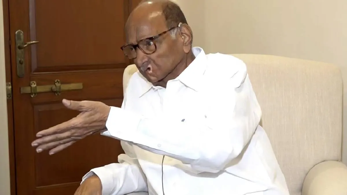 एनसीपी (शरद गुट) प्रमुख शरद पवार- India TV Hindi