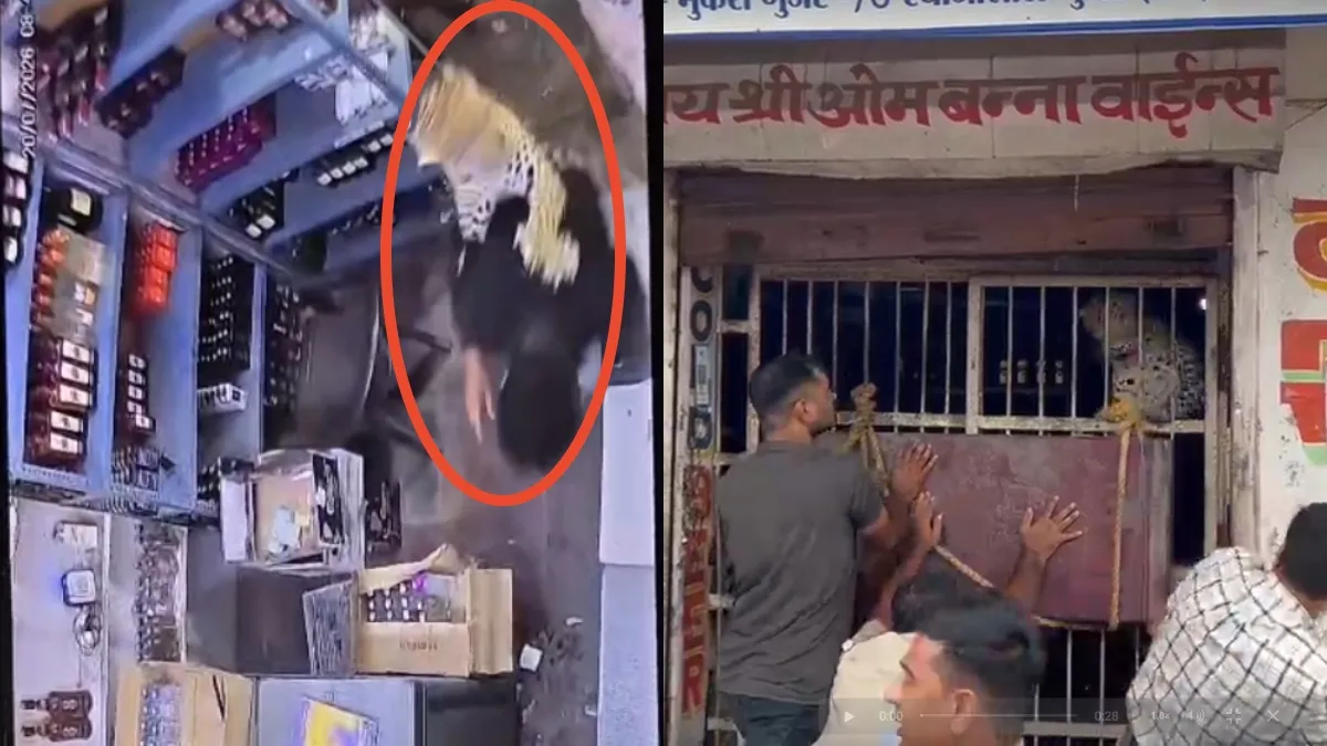 Panther- India TV Hindi