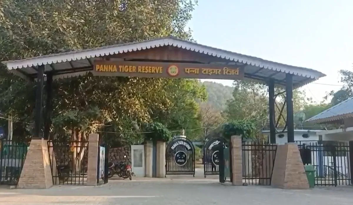 Panna Tiger Reserve- India TV Hindi