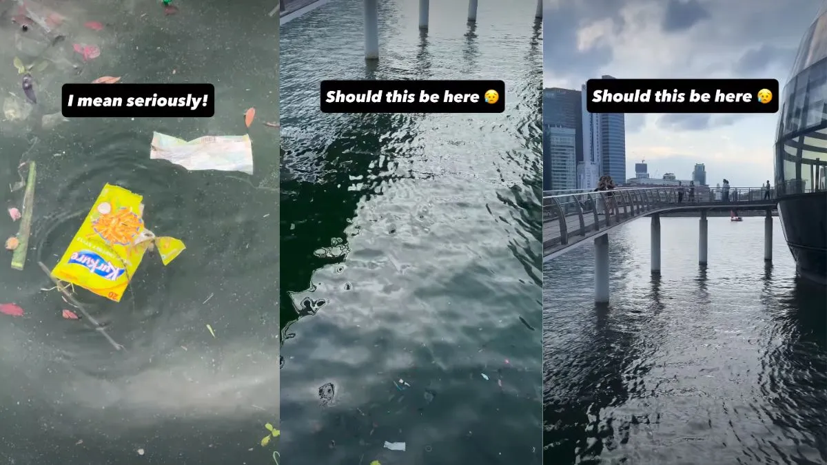 Singapore Civic Sense Video, Sinapore Viral Video, Singapore Video, Viral Video - India TV Hindi