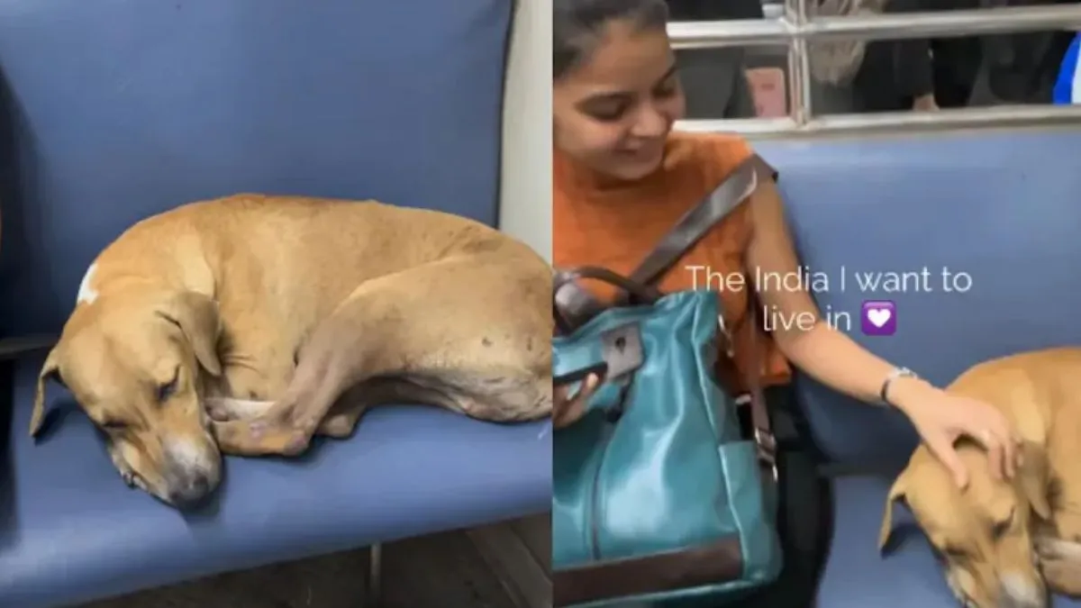 Mumbai Local Train Video, Mumbai Local Viral Moments, Mumbai Local Train Viral Moments, Mumbai Local- India TV Hindi