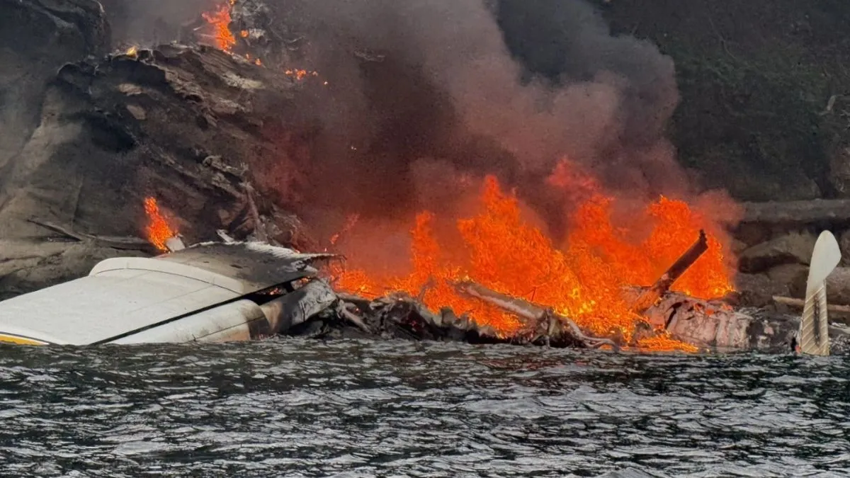 Seaplane Crash, Washington State Plane Crash, DHC-3 Otter- India TV Hindi
