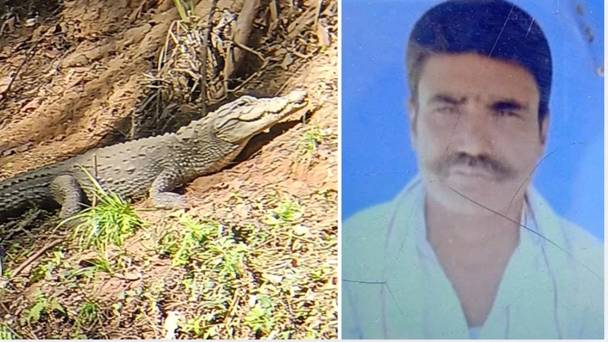 मगरमच्छ ने किसान को पानी में खींच लिया, दी दर्दनाक मौत, शौच करने के लिए गए थे लेकिन वापस जिंदा नहीं लौटे