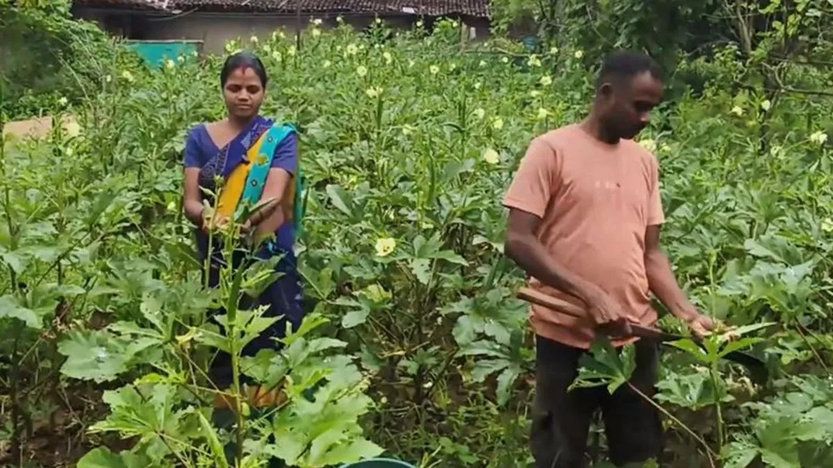 कैसे बदल गई नक्सली कमांडर सीताराम की जिंदगी? बताया पत्नी के कहने पर क्यों किया सरेंडर