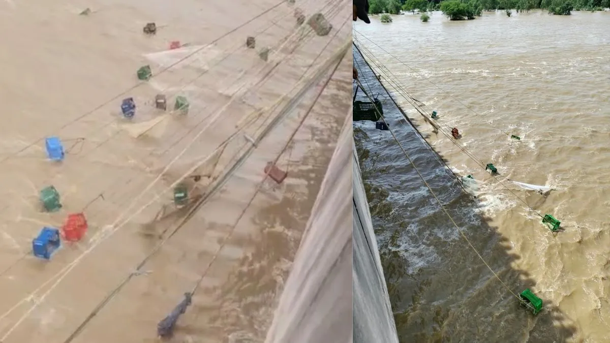महानदी में बहकर आई शराब की बोतलें, जान पर खेलकर लूटने में लगे लोग; हैरान कर देने वाला VIDEO आया सामने