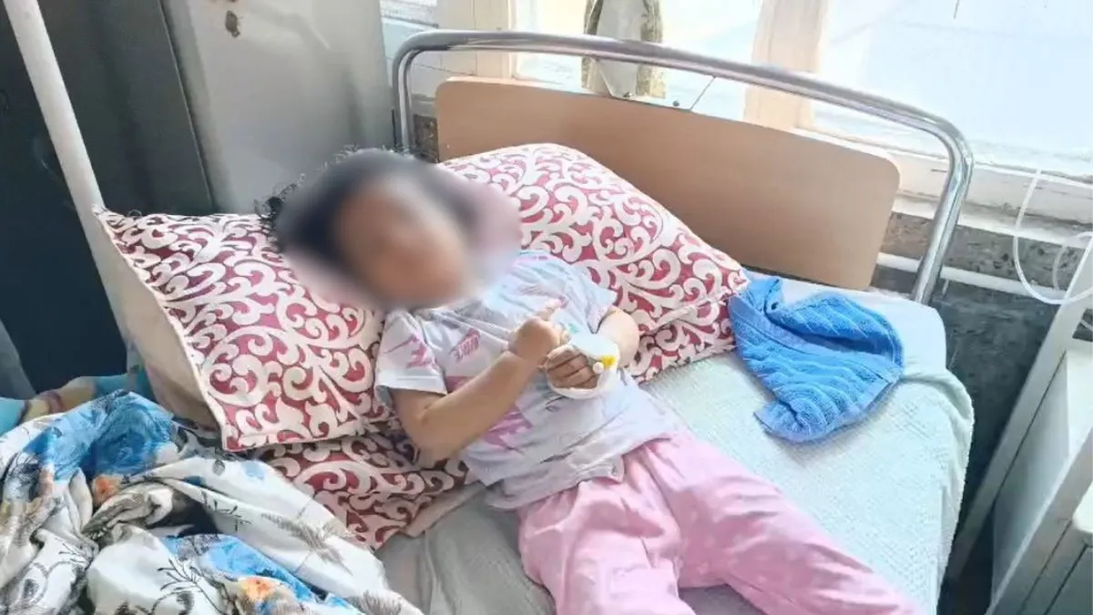 मासूम की चीखों से दहला शिमला, 20 महीने की बच्ची को घर के बाहर से घसीटकर ले गए आवारा कुत्ते