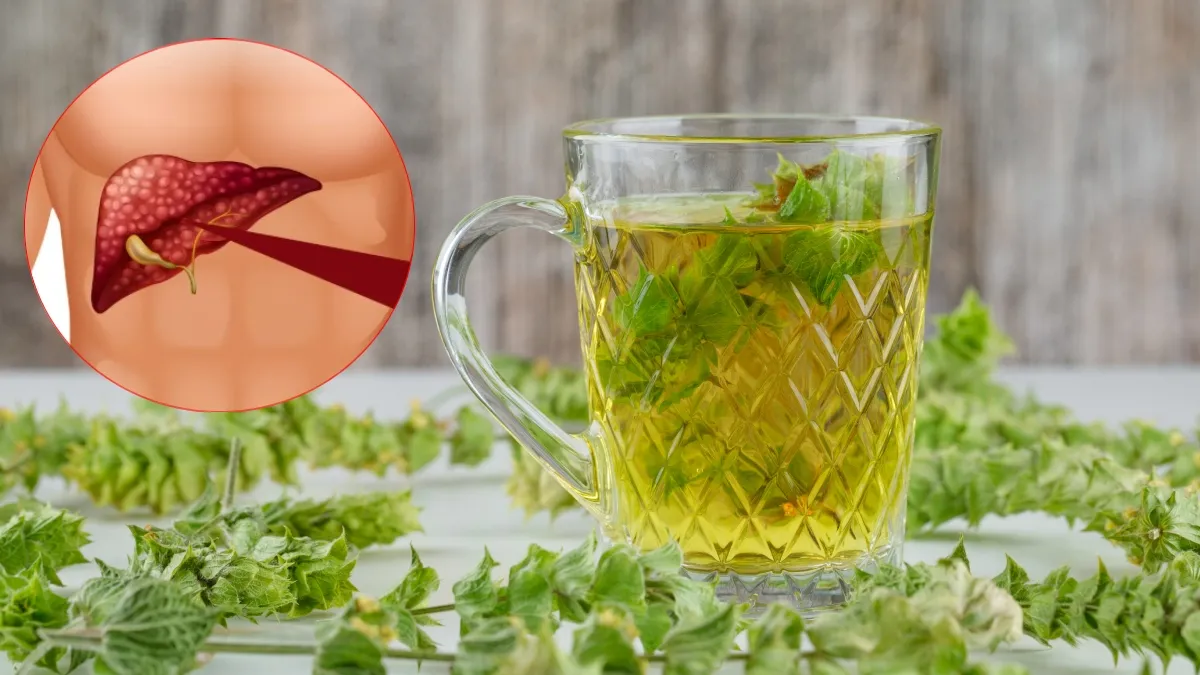 लिवर को हेल्दी और मजबूत रखने के लिए पिएं ये ड्रिंक्स, शरीर से टॉक्सिन निकालने में कर सकती हैं मदद