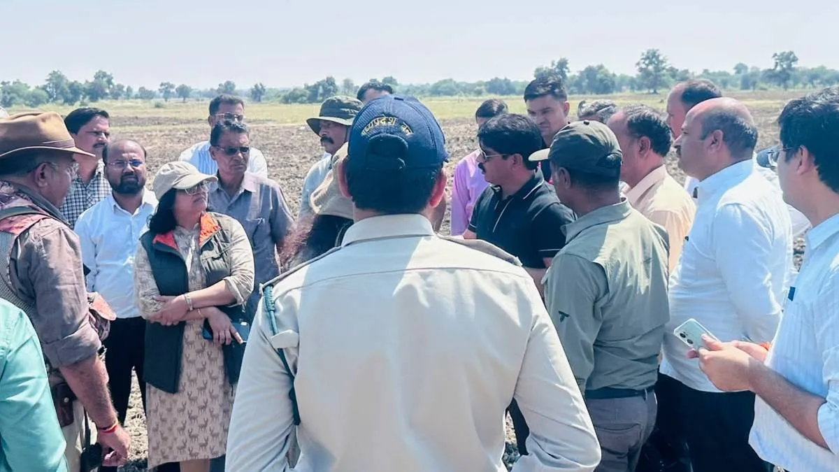 शाजापुर के कालापीपल में 97 कृष्णमृग किए गए रेस्क्यू, 31 अक्टूबर तक चलेगा अभियान, कुनो अभयारण भेजने की तैयारी