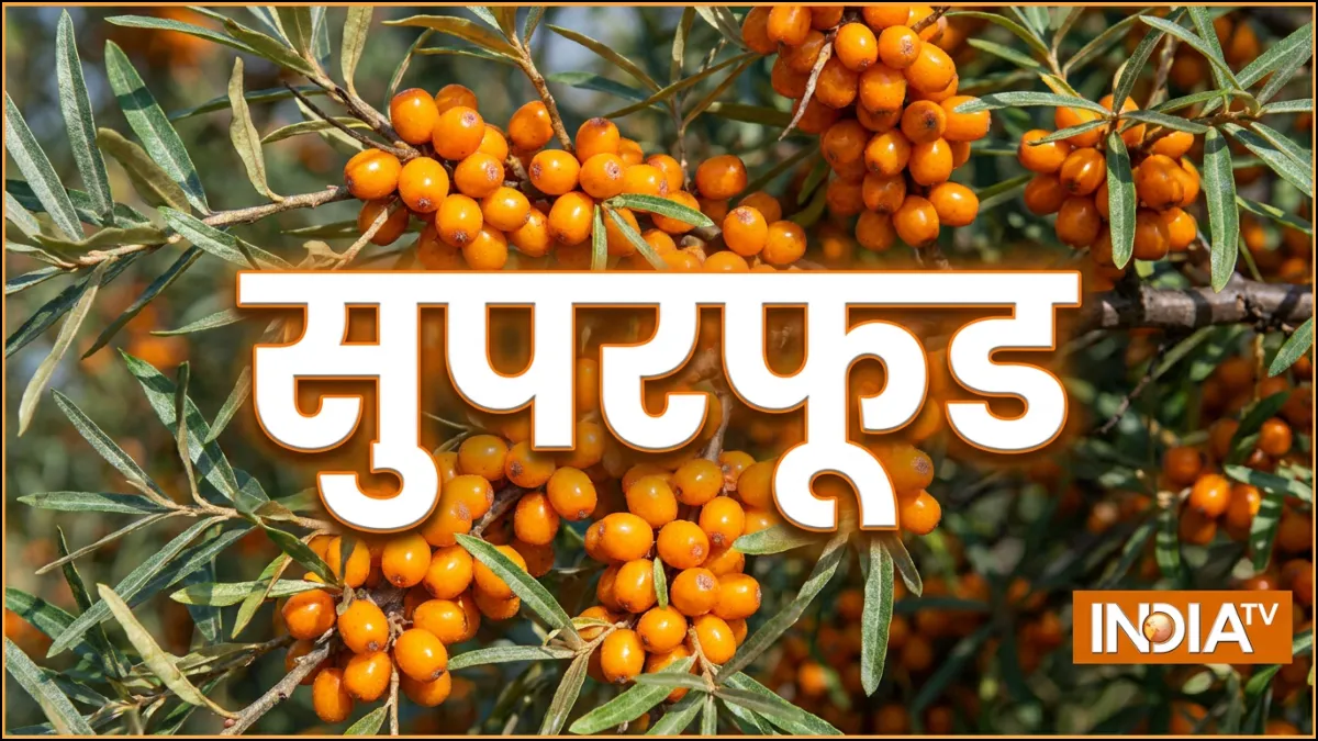सी बकथॉर्न सुपरफूड, पीएम मोदी भी करते हैं इसका सेवन, जानें फायदे और विटामिन
