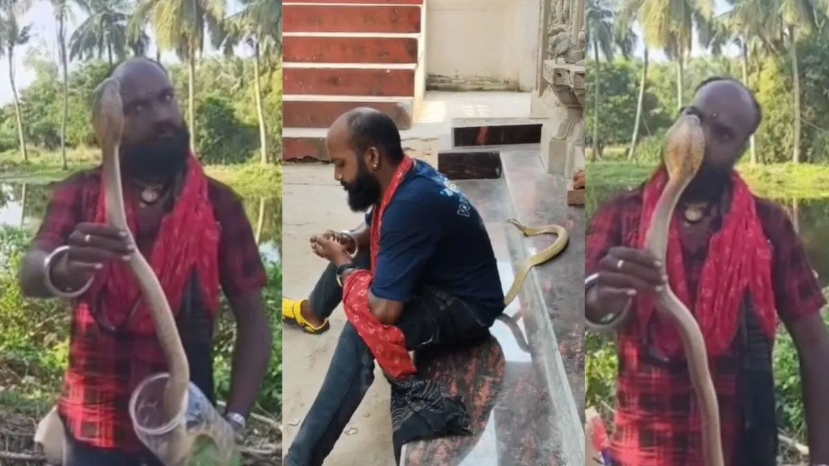 रीलबाजी के चक्कर में सांप के साथ खिलवाड़ पड़ा भारी, कोबरा ने युवक को कई जगहों पर डसा, हुई दर्दनाक मौत