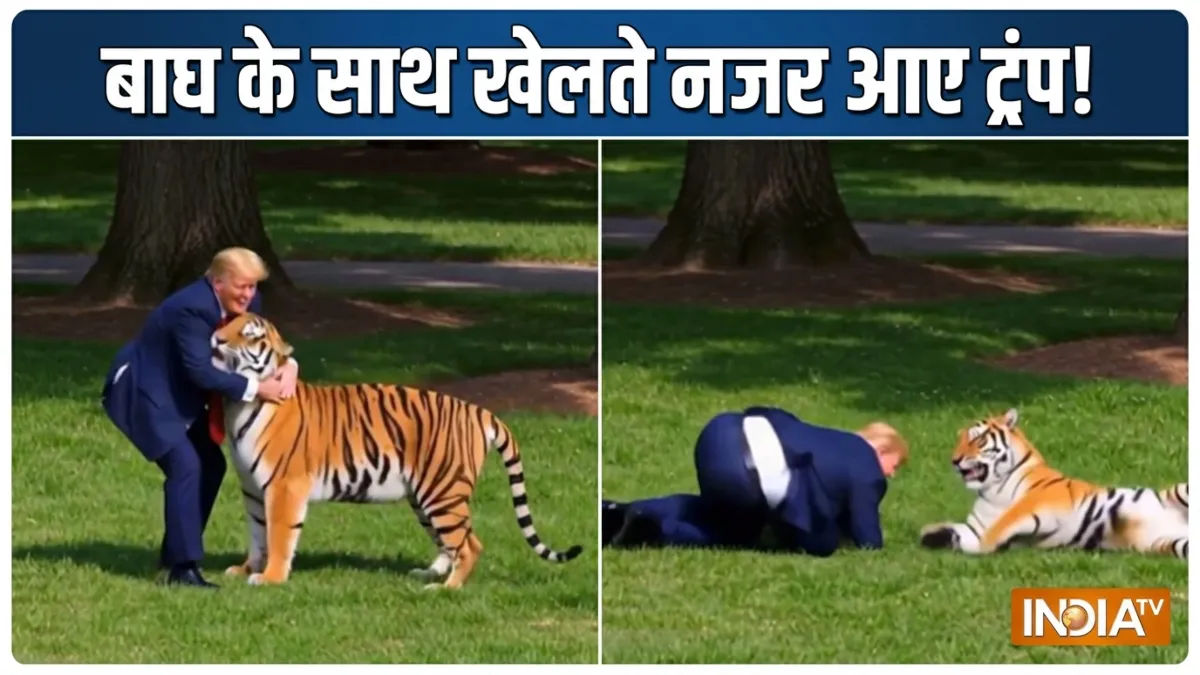 बाघ के साथ खेलते दिखे डोनाल्ड ट्रंप! कहा-प्रकृति से खिलवाड़ ना करें, वीडियो पर उठ रहे सवाल