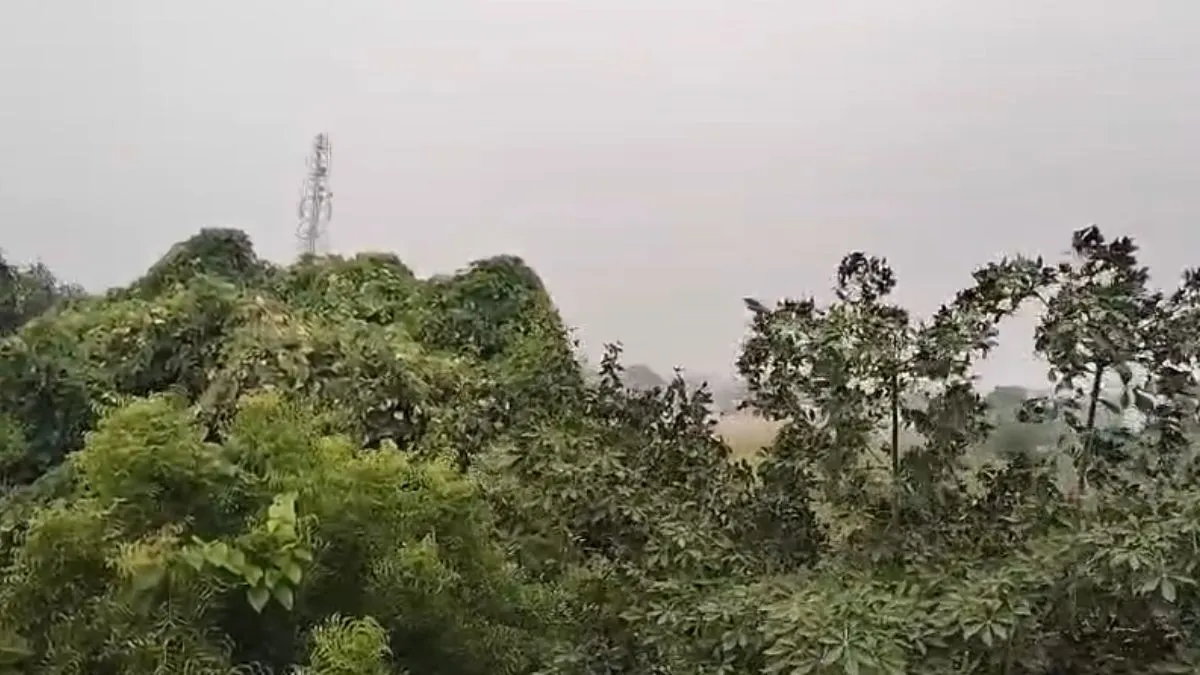 हरियाणा में बदला मौसम का मिजाज, 20 राज्यों में आज आंधी-तूफान के साथ बारिश की चेतावनी; राजस्थान में गिर सकते हैं ओले
