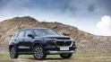 Maruti ने Grand Vitara का डोमिनियन एडिशन लॉन्च किया, जानें इस मॉडल में क्या नया और कीमत कितनी? 