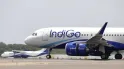 Who is the Owner of IndiGo: इंडिगो का मालिक कौन है, कितनी है नेट वर्थ