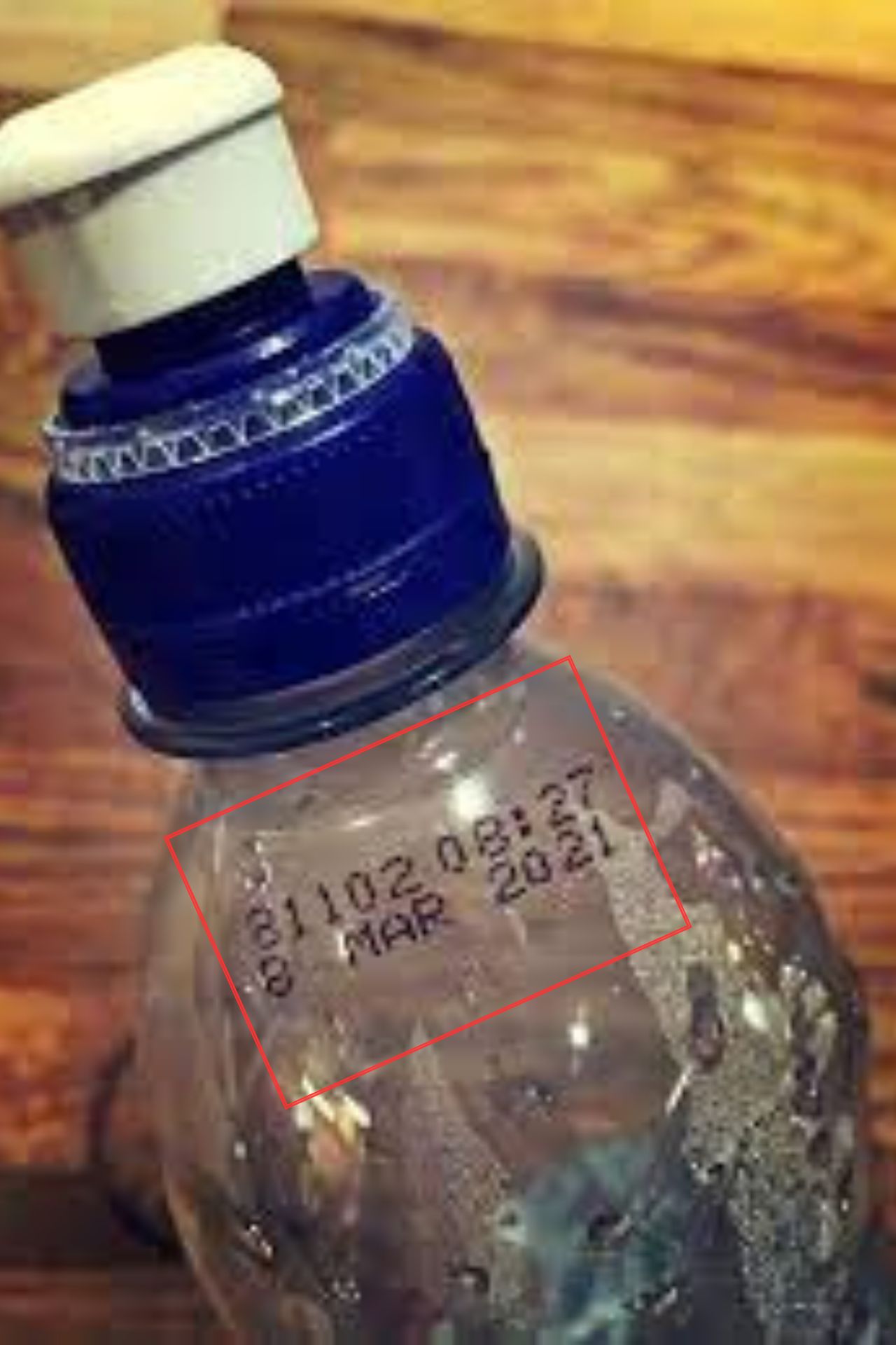 पानी कभी नहीं होता खराब तो बोतल पर क्यों लिखी जाती है 'Expiry Date'