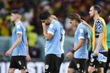 FIFA World Cup 2022, Qatar World Cup, FIFA- India TV Hindi