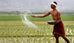 सेवाओं पर कृषि कल्याण उपकर लगाने के फैसले पर पुनर्विचार की मांग, उत्‍पादन लागत बढ़ने की आशंका- India TV Paisa