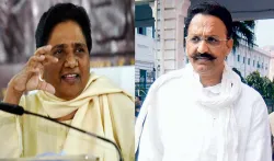 mayawati and mukhtar ansari- India TV Hindi