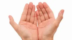 Palmistry- India TV Hindi