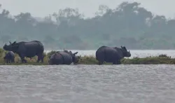 Assam Floods- India TV Hindi