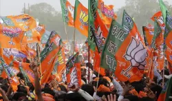 BJP shines- India TV Hindi