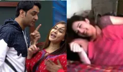 shilpa shinde mms vikas gupra romit raj- India TV Hindi