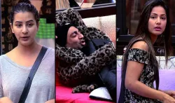 Bigg Boss 11- India TV Hindi