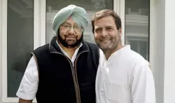 amarinder singh and rahul gandhi- India TV Hindi