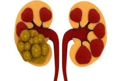 kidney- India TV Hindi