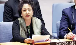 Maleeha Lodhi | AP Photo- India TV Hindi