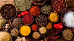 Spices export - India TV Paisa