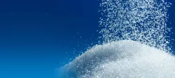 Sugar production- India TV Paisa