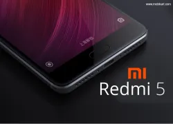 xiaomi redmi5- India TV Paisa