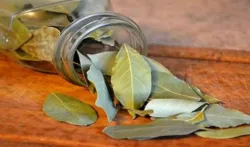 bay leaves- India TV Hindi