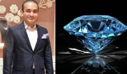 nirav modi and diamond- India TV Hindi