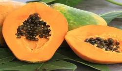 papaya- India TV Hindi